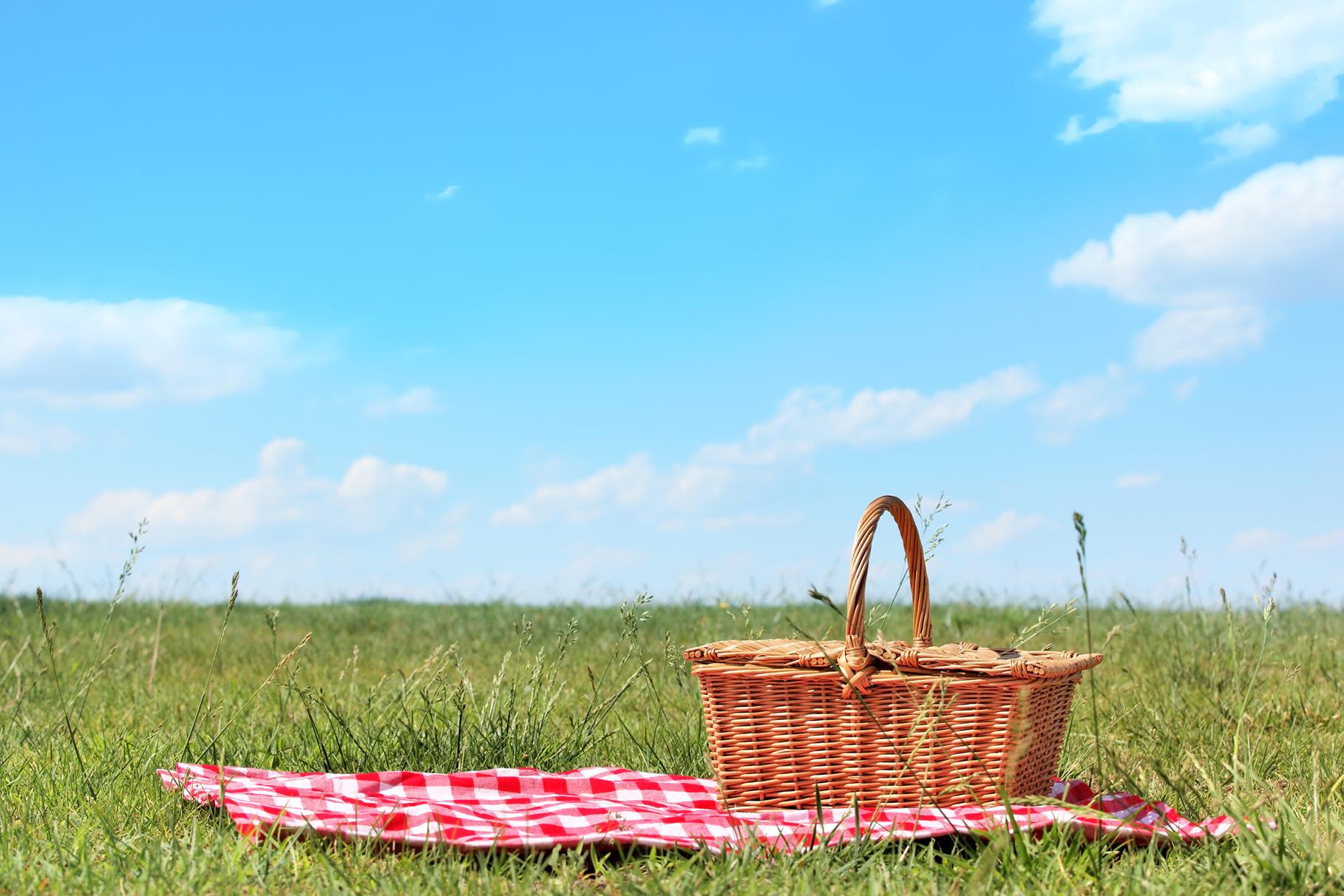Agape Picnic