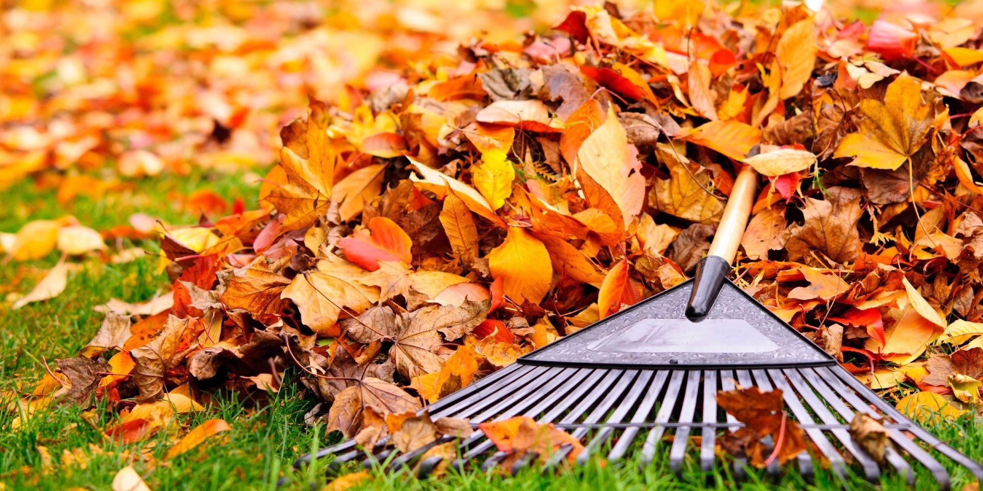 Fall Clean-Up Church Grounds (Cancelled)